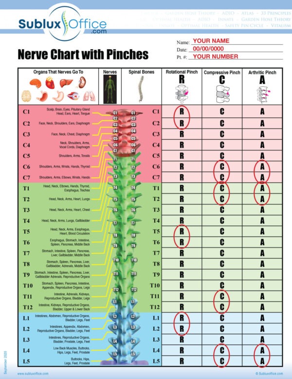 EDUCATION-SDR RCA Subluxations